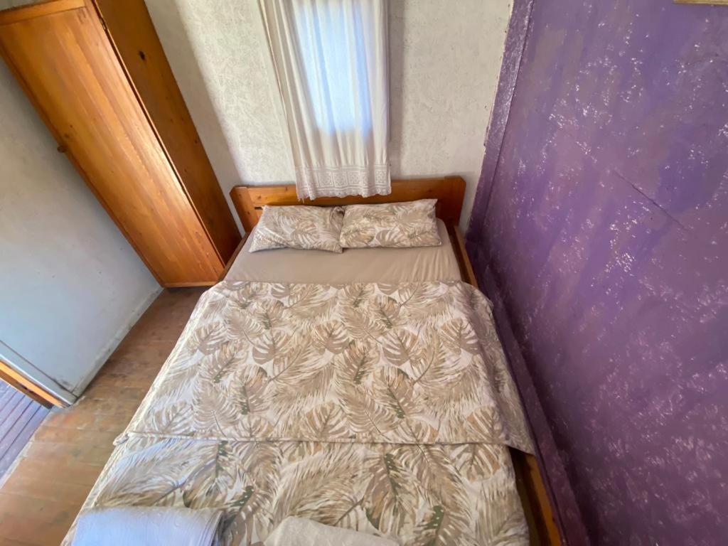 美杜莎露营地 帕塔拉 外观 照片